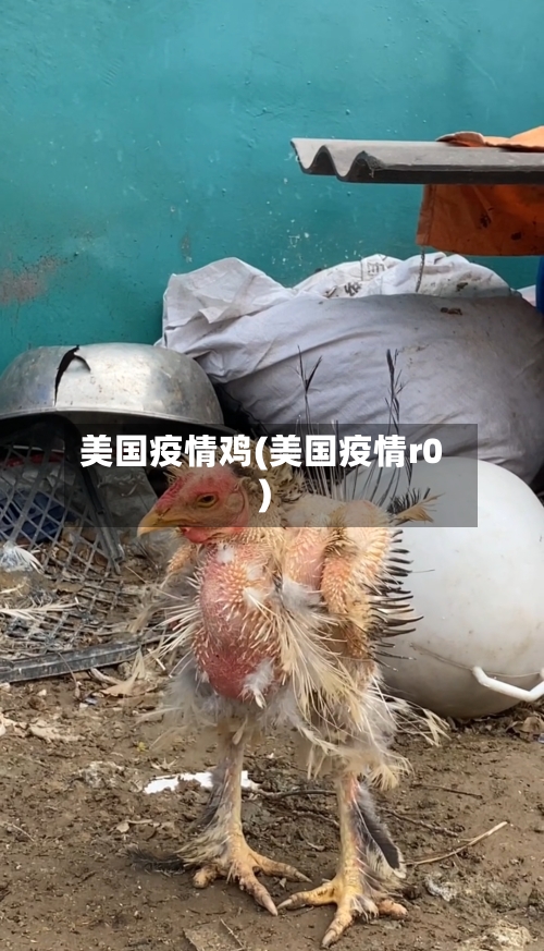 美国疫情鸡(美国疫情r0)-第3张图片