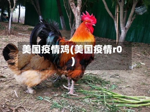 美国疫情鸡(美国疫情r0)