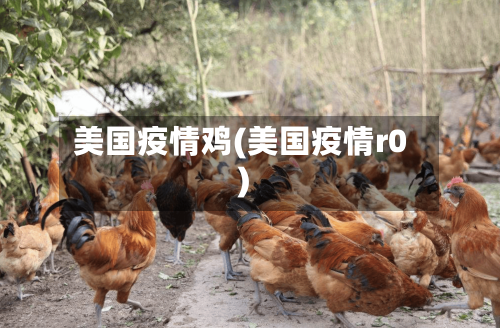 美国疫情鸡(美国疫情r0)-第2张图片