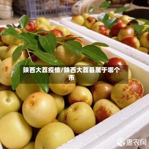 陕西大荔疫情/陕西大荔县属于哪个市