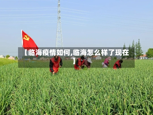【临海疫情如何,临海怎么样了现在】