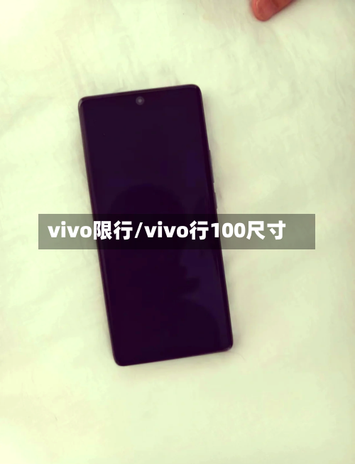 vivo限行/vivo行100尺寸