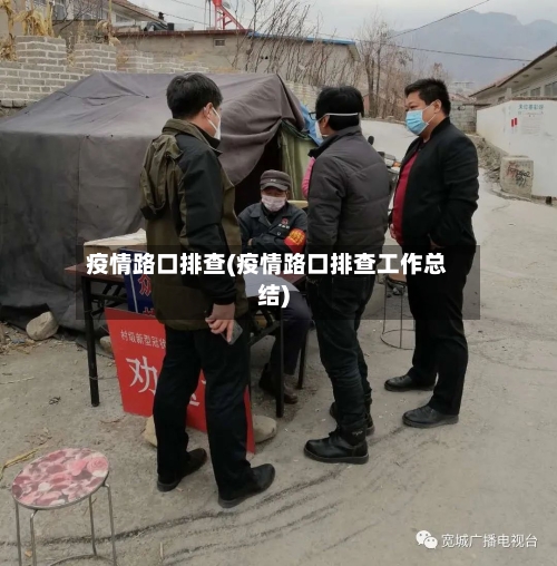 疫情路口排查(疫情路口排查工作总结)-第2张图片