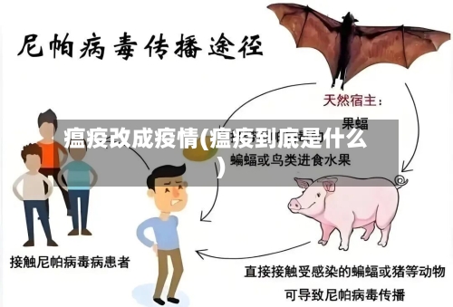 瘟疫改成疫情(瘟疫到底是什么)-第2张图片