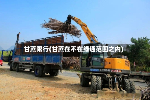 甘蔗限行(甘蔗在不在绿通范围之内)-第3张图片