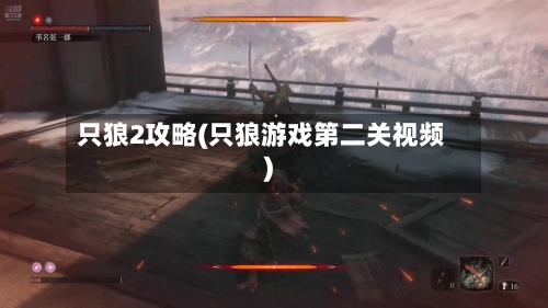 只狼2攻略(只狼游戏第二关视频)-第3张图片