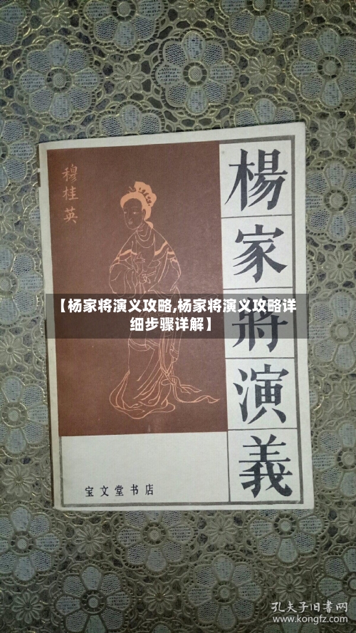 【杨家将演义攻略,杨家将演义攻略详细步骤详解】-第2张图片