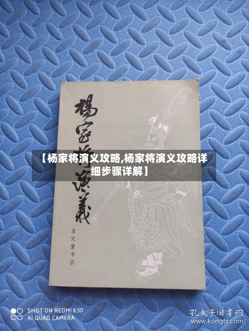 【杨家将演义攻略,杨家将演义攻略详细步骤详解】-第3张图片