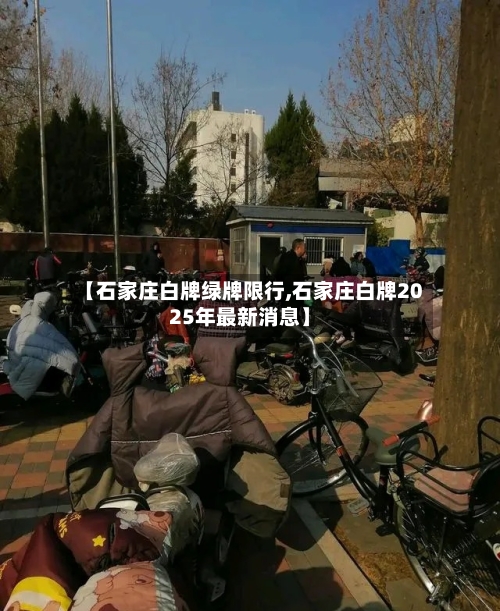 【石家庄白牌绿牌限行,石家庄白牌2025年最新消息】-第2张图片