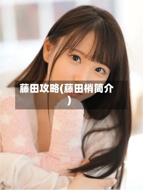 藤田攻略(藤田梢简介)