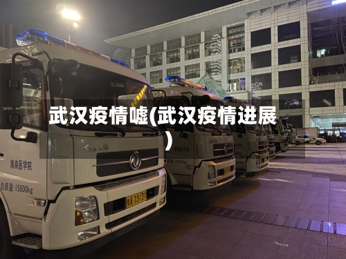 武汉疫情嘘(武汉疫情进展)