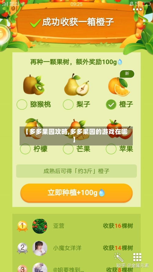 【多多果园攻略,多多果园的游戏在哪】-第2张图片