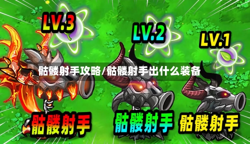骷髅射手攻略/骷髅射手出什么装备-第3张图片