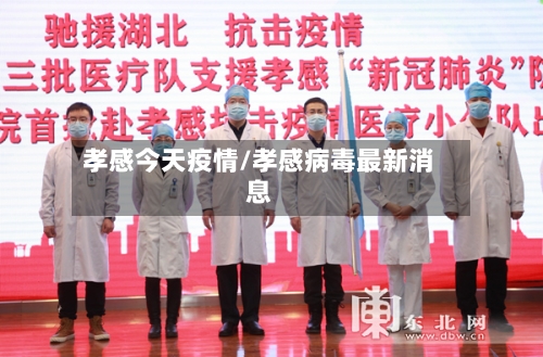 孝感今天疫情/孝感病毒最新消息-第2张图片