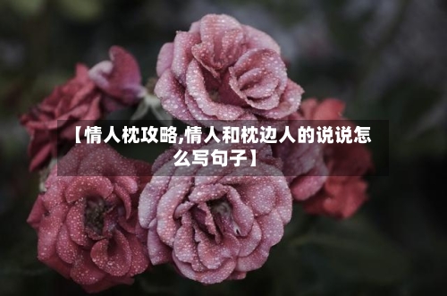 【情人枕攻略,情人和枕边人的说说怎么写句子】-第2张图片
